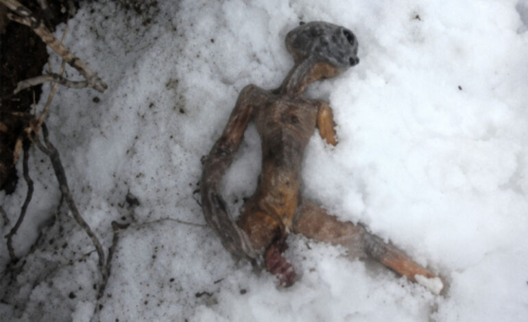 “Alienígena encontrado na Rússia” volta a viralizar, mas vídeo é uma farsa criada em 2011