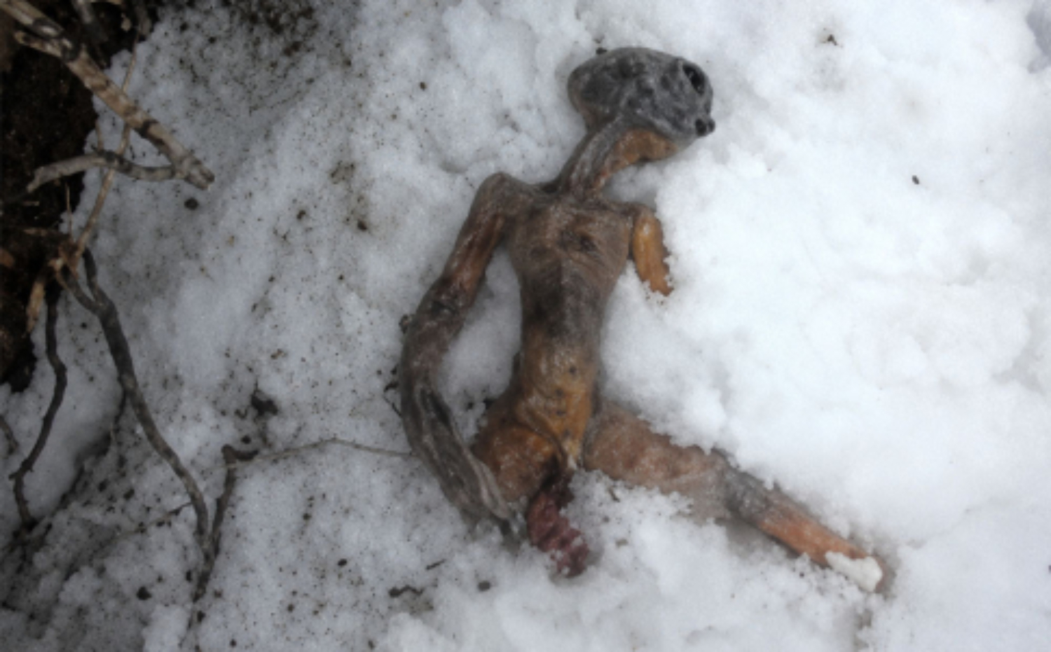 “Alienígena encontrado na Rússia” volta a viralizar, mas vídeo é uma farsa criada em 2011